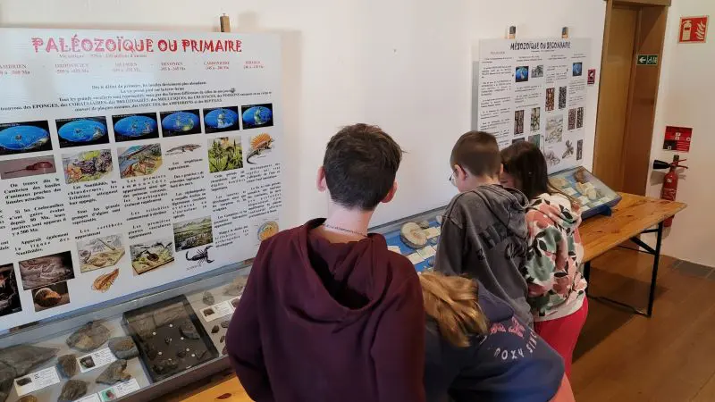 Default image illustrating the article "Geological field trip for the Tonneville school of the La Hague Geopark"