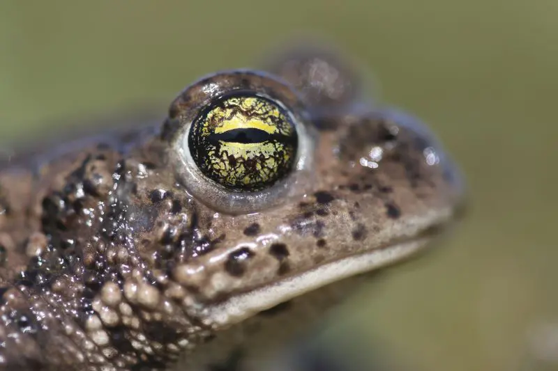 Image par défaut illustrant le propos de la page Exposition « Dunes secrètes » de Géoparc - La Hague