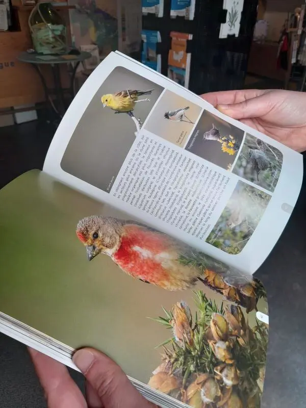 Default image illustrating the article's topic: The book "Secret Dunes" has been published by Géoparc - La Hague