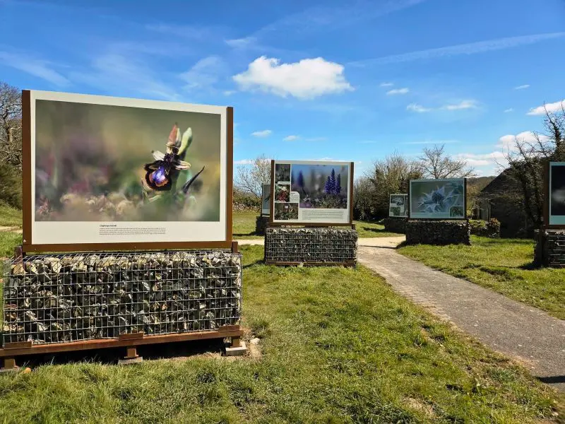Image par défaut illustrant le propos de la page Exposition « Dunes secrètes » de Géoparc - La Hague