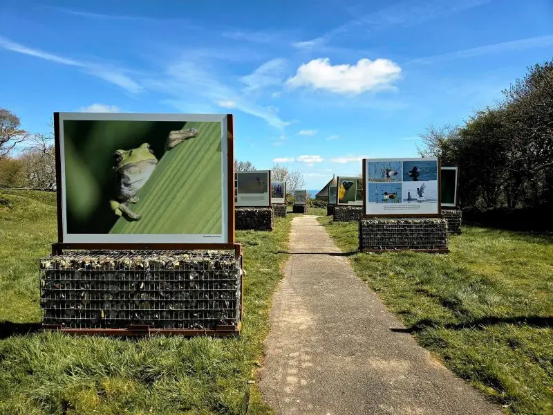 Default image illustrating the article's topic: Inauguration of two new exhibitions at the Geopark Tourp - La Hague